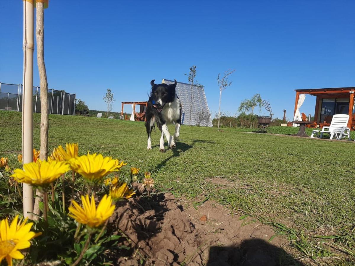 Tierra De Inmigrantes Villa Baradero Dış mekan fotoğraf